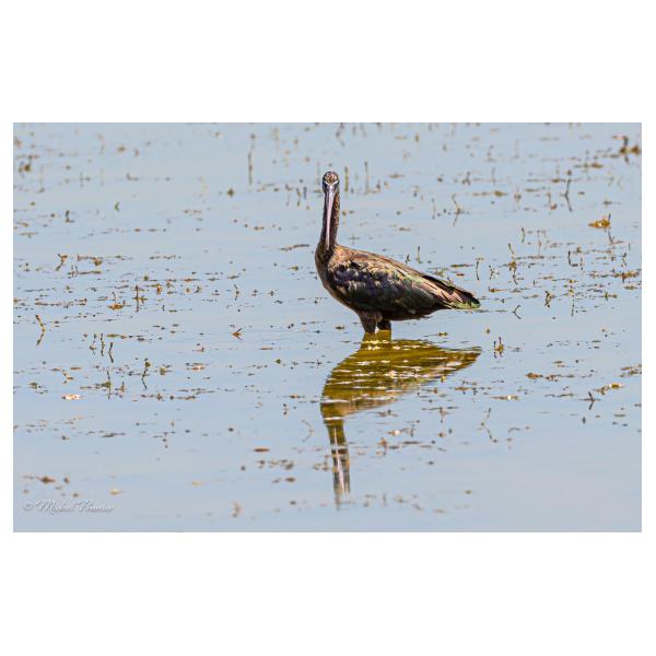 PHOTO84, CLUB, 84 , LUBERON